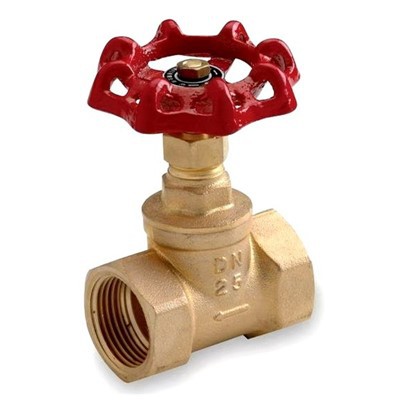 Brass Globe Valve